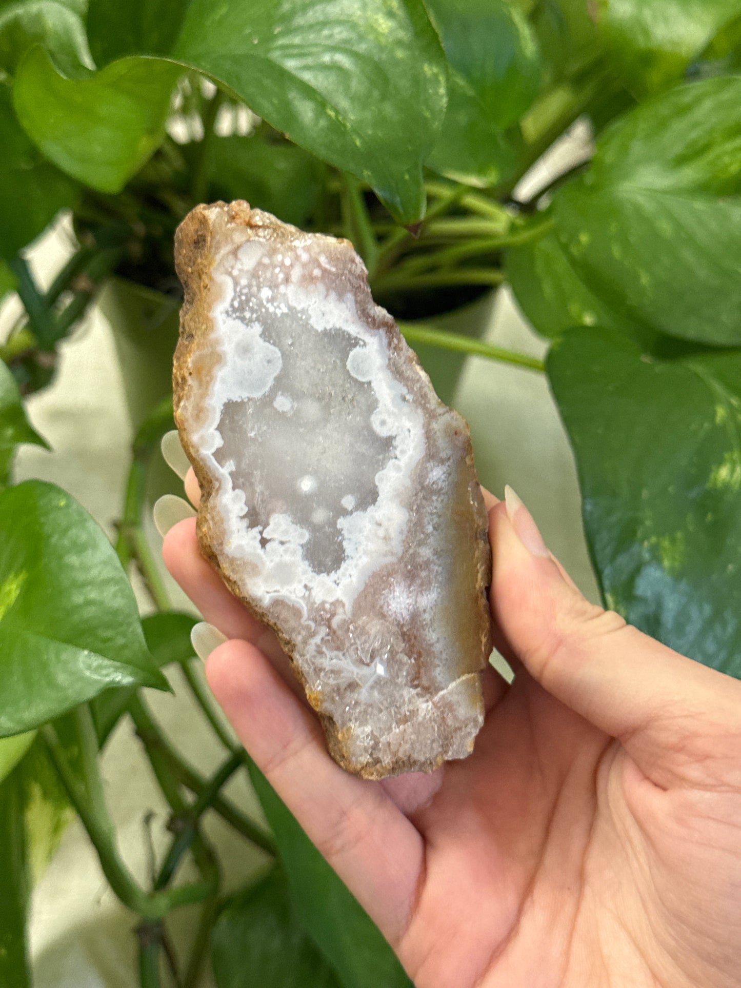 Flower Agate and Pink Amethyst Slab