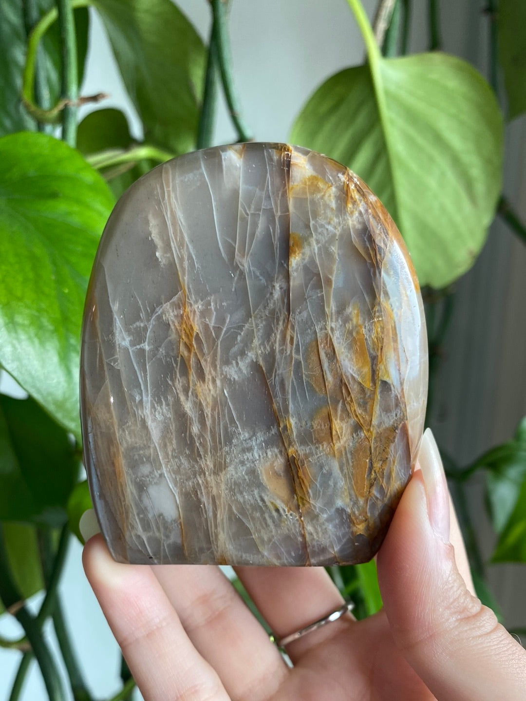 Black Moonstone Freeform A
