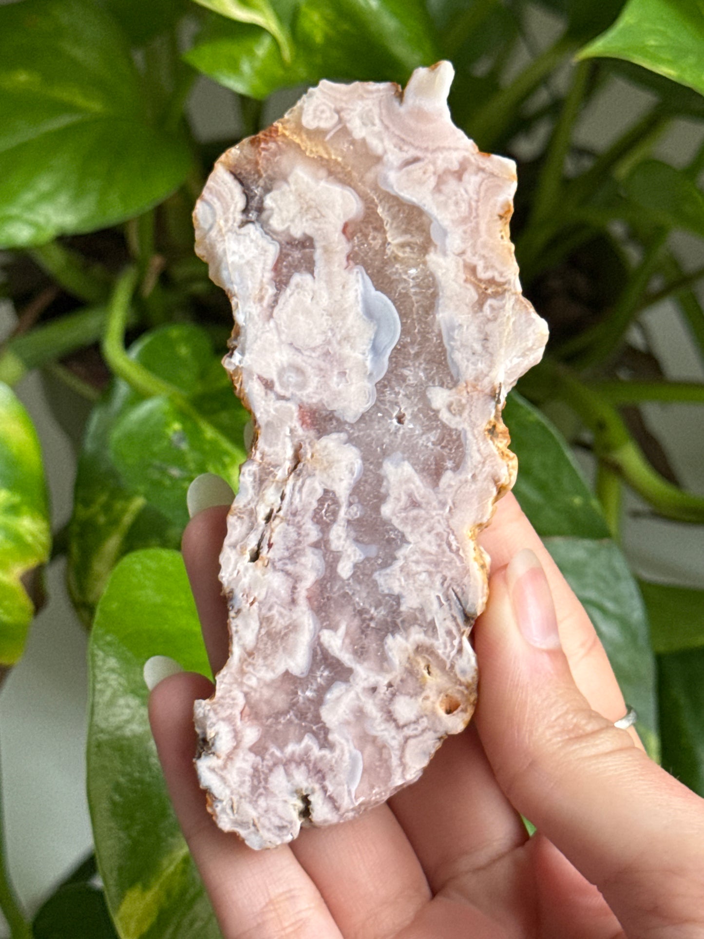 Pink Amethyst & Flower Agate Slab | You Pick