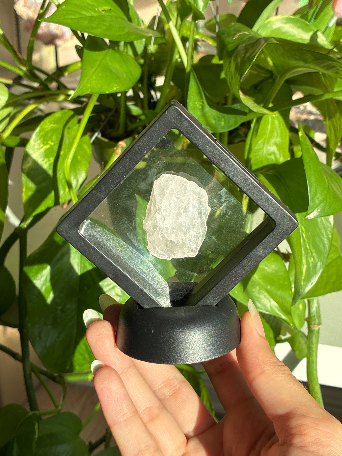 Clear Quartz in Case