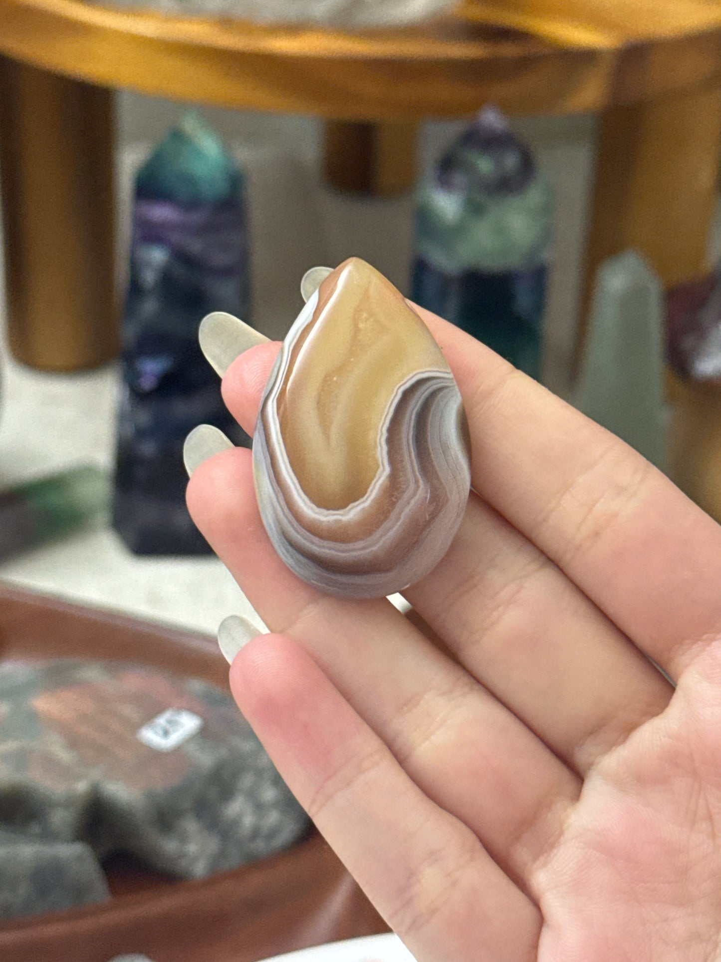 meloncholicdaydreams listing