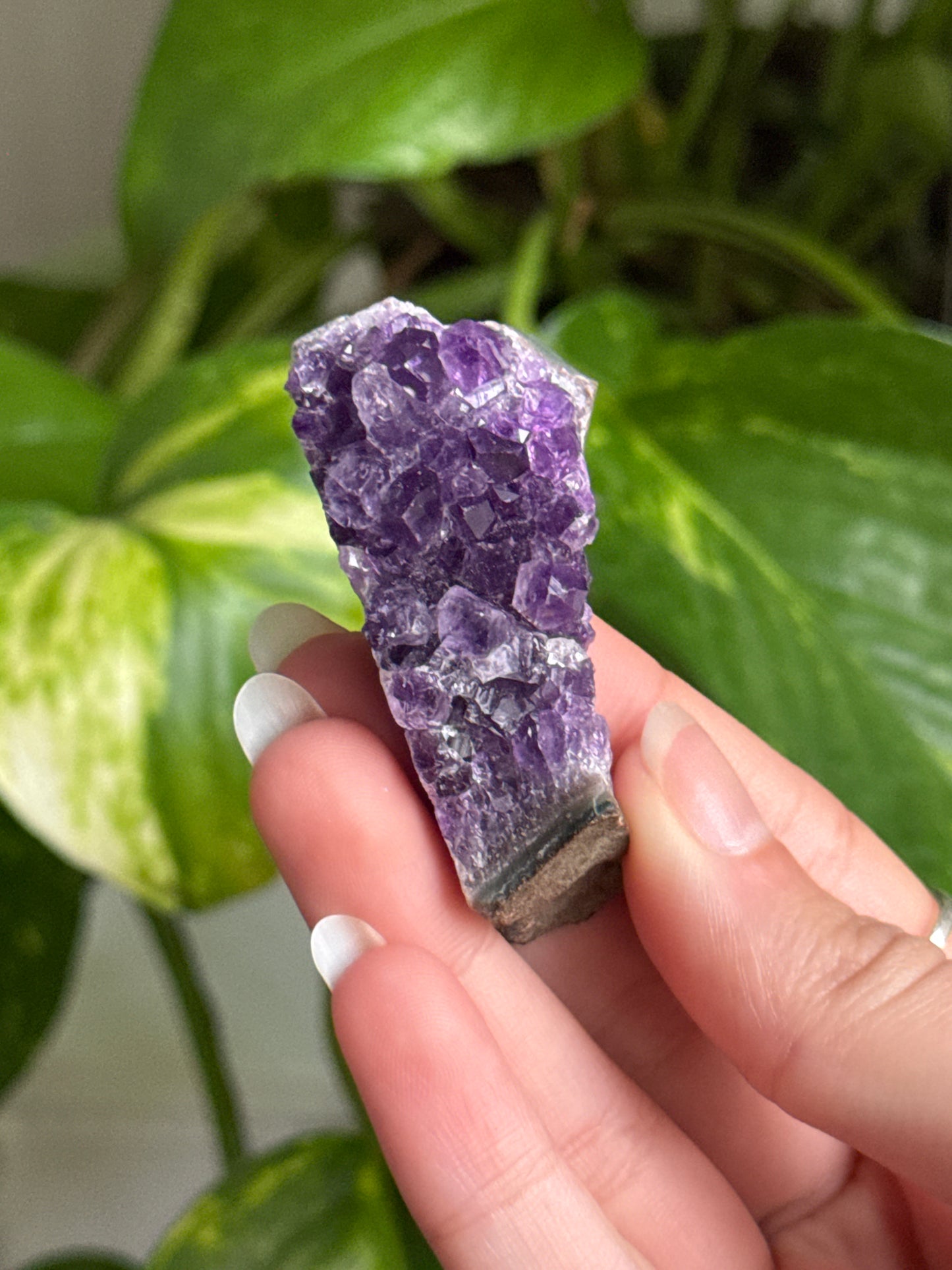 Amethyst Cluster | You Pick