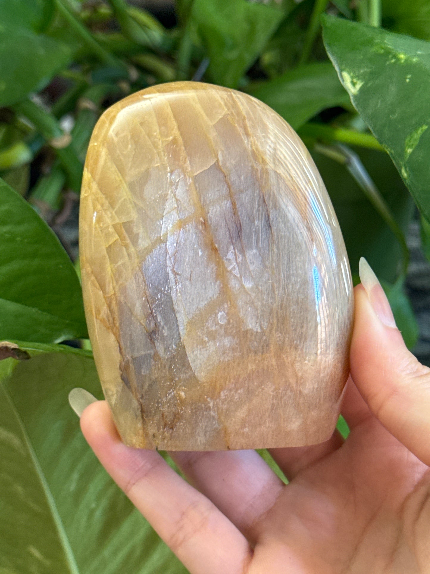 Flashy Peach Moonstone Freeform B *see vid for flash*