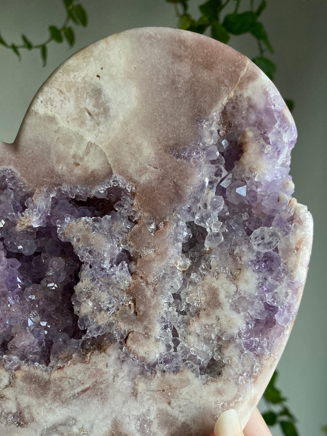 XL Pink Amethyst & Amethyst Druzy Heart (7” & 2.3lbs)