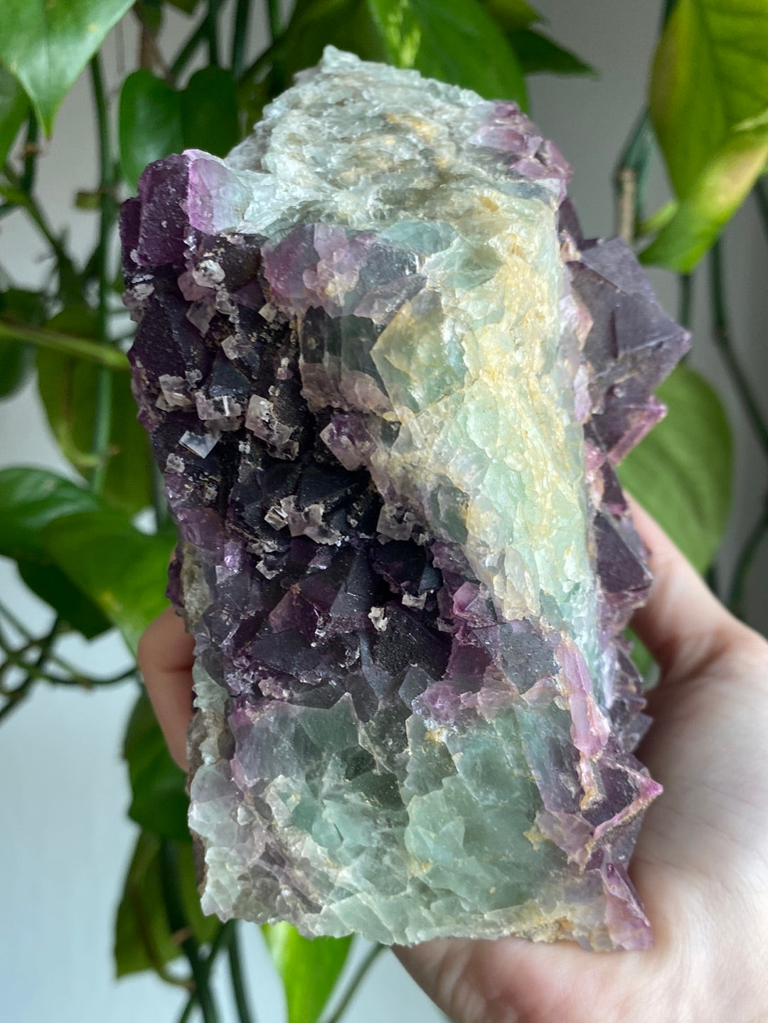 XL Unique Magenta/Green Cubic Fluorite Specimen