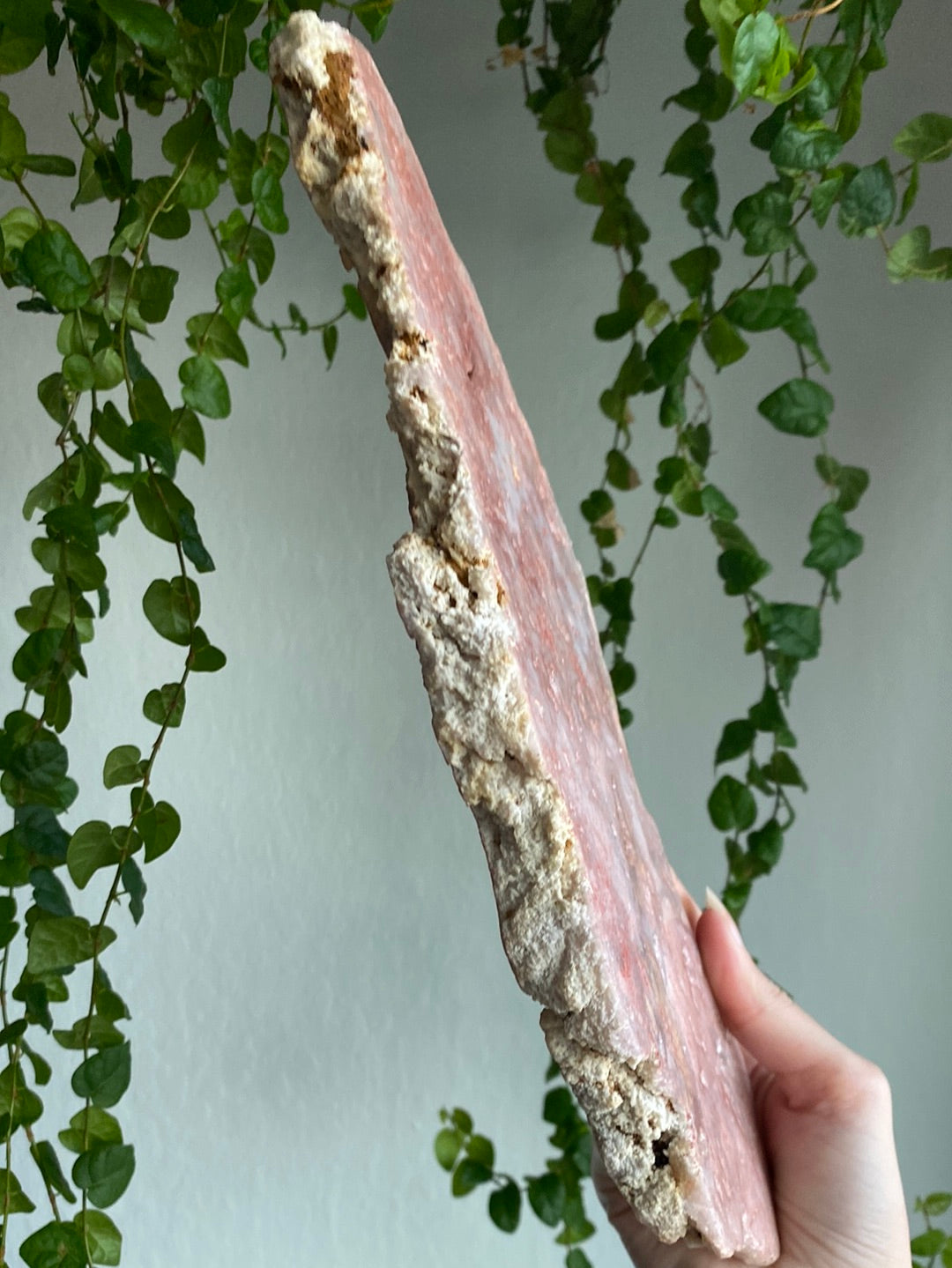 XL Pink Amethyst Slab (12” & 2lbs)