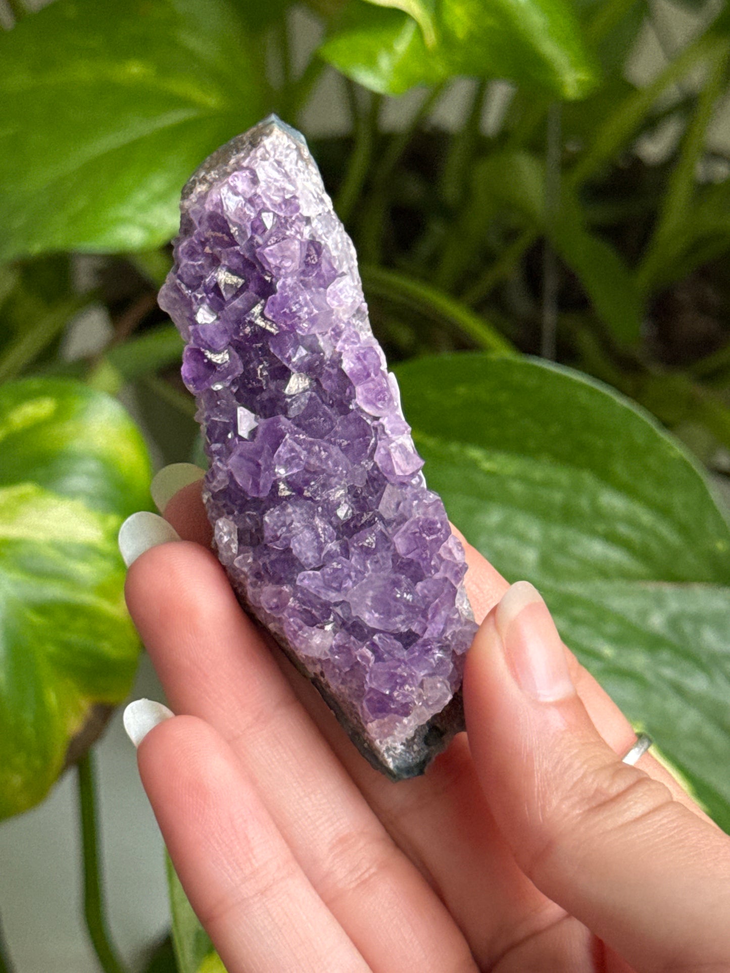 Amethyst Cluster | You Pick