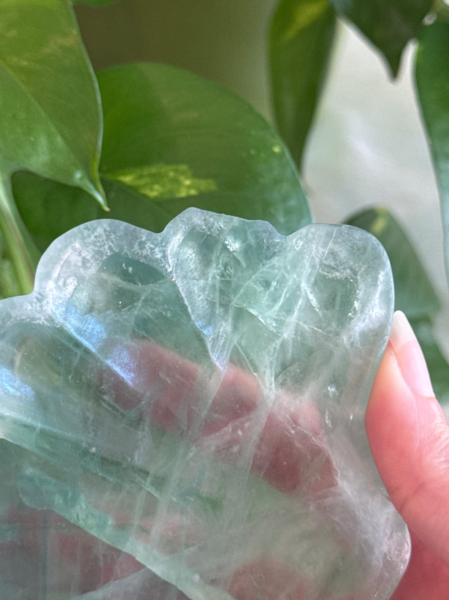 Large Fluorite Shell Bowl