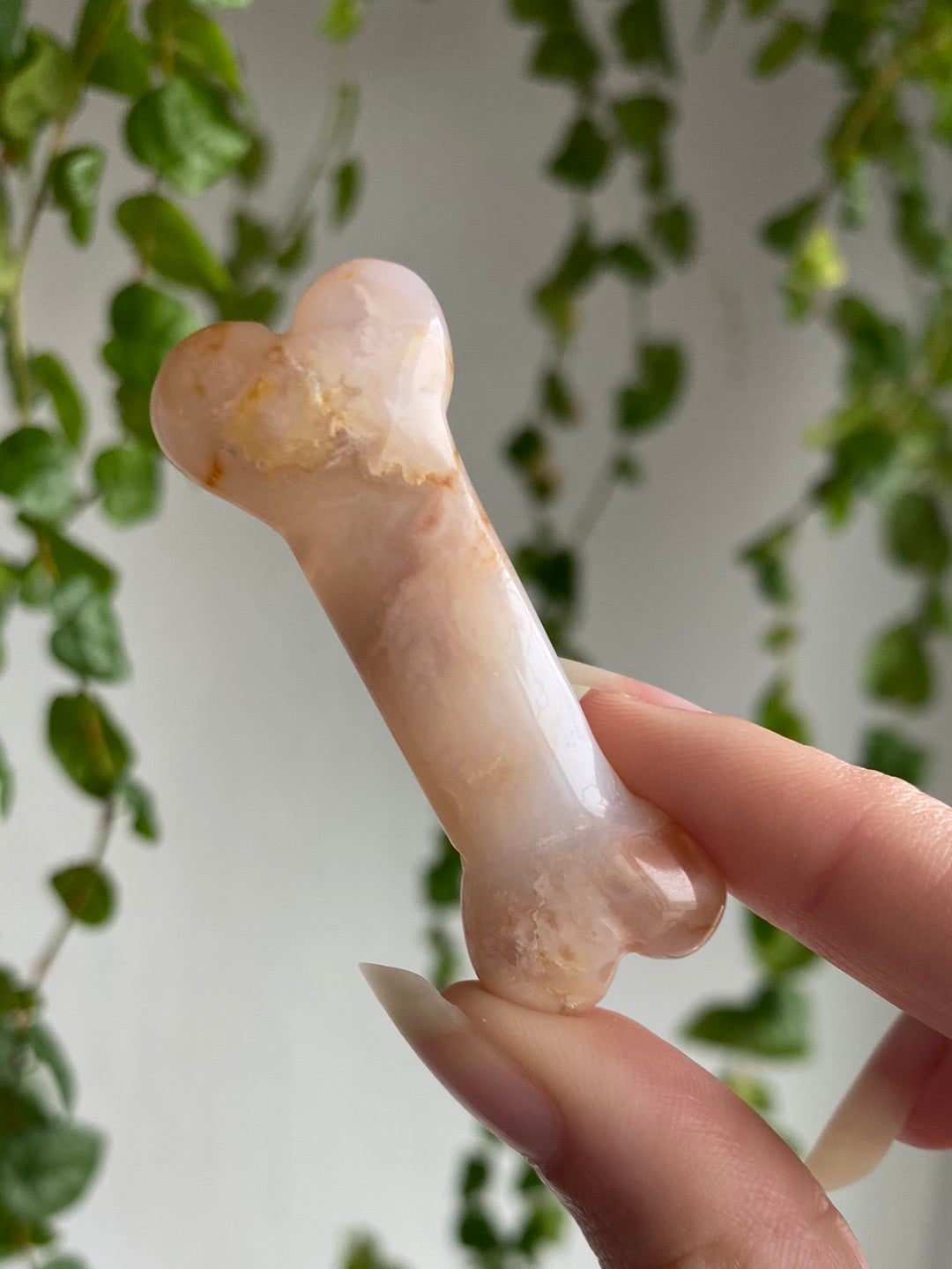 Flower Agate Bone | You Pick