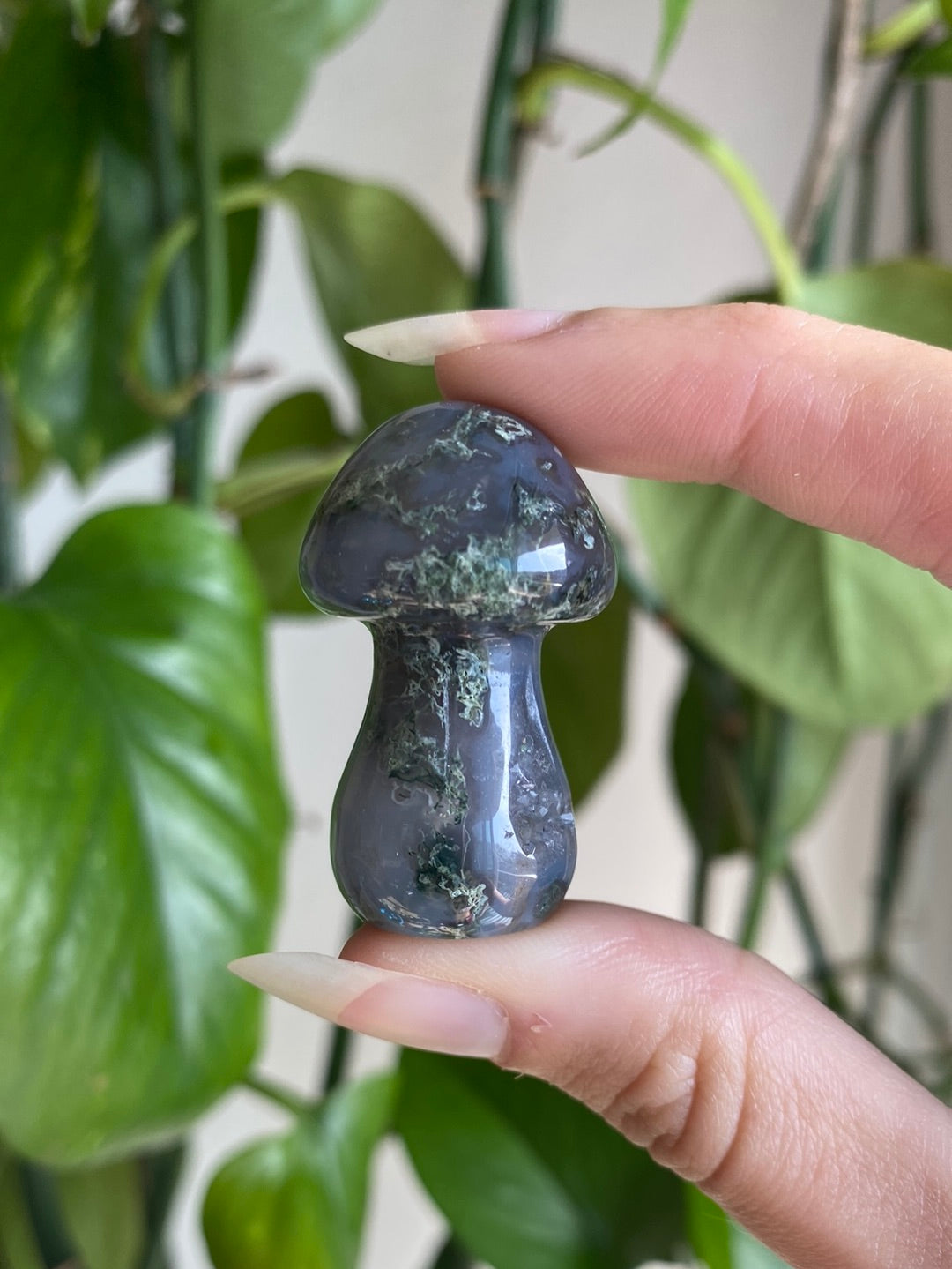 Moss Agate Mushroom - Intuitively Picked