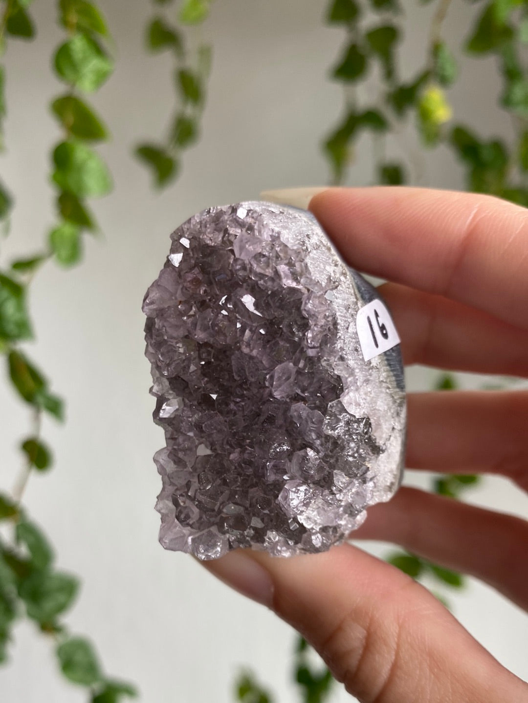 Small Rainbow Amethyst Cut Bases | You Pick Size