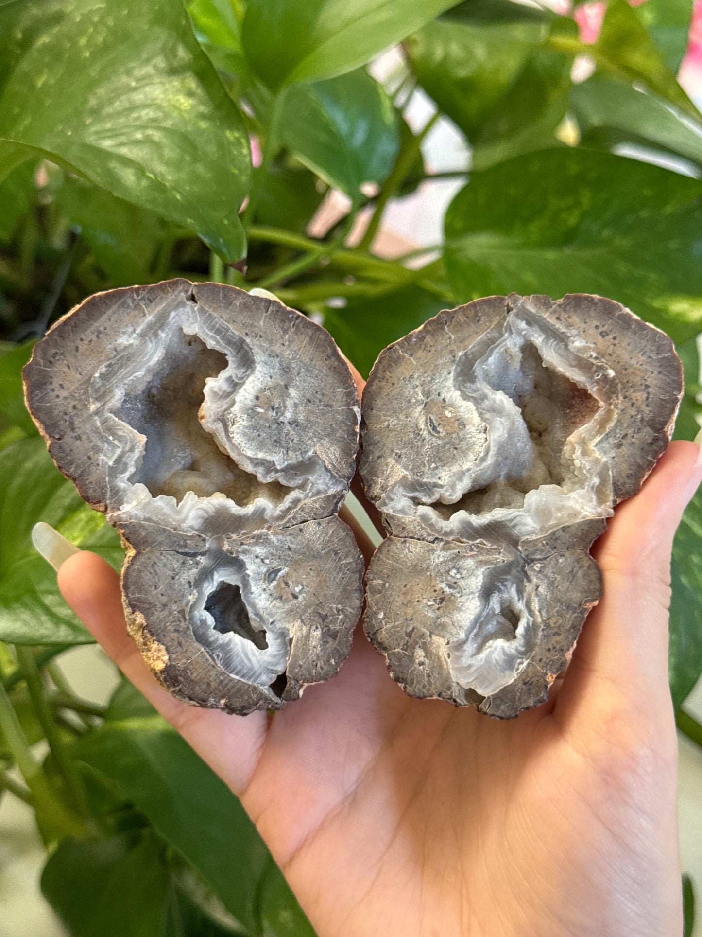 Druzy Agate Geode Specimen Pair