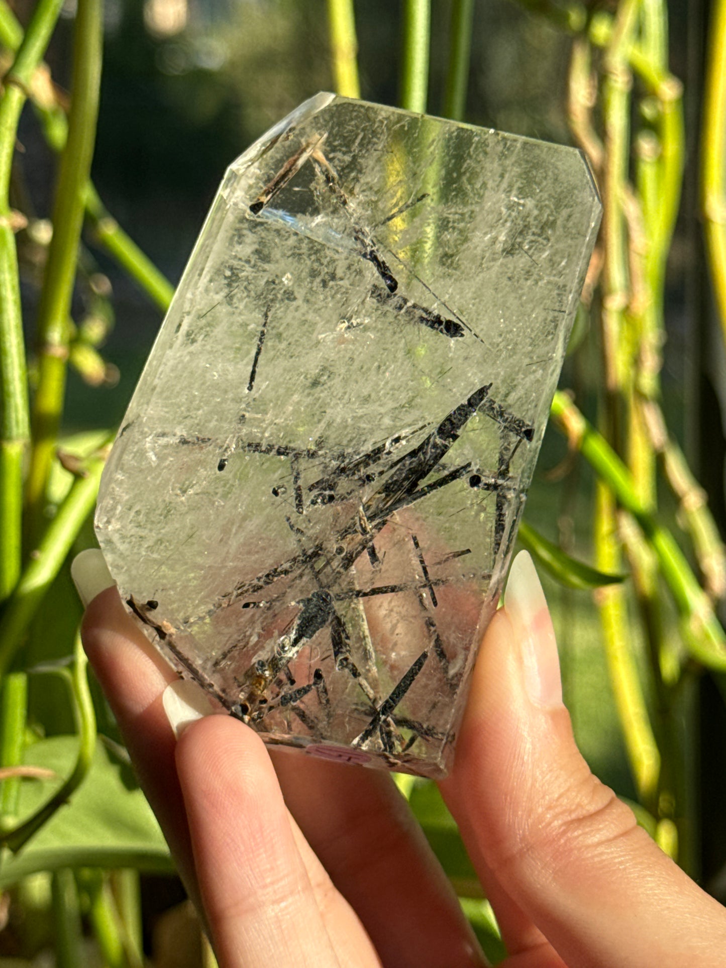 Black Tourmaline in Quartz Slab