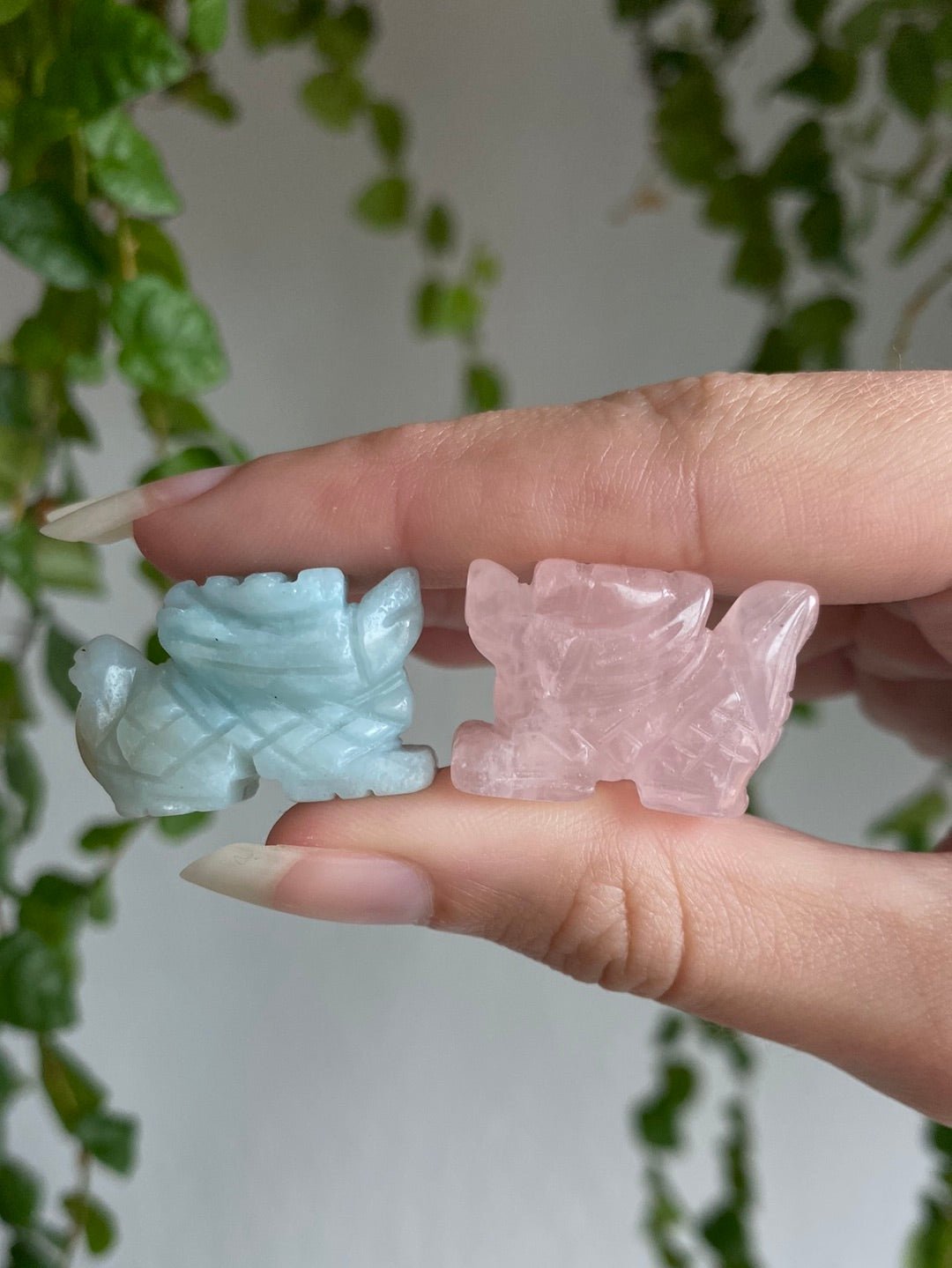 Dragons | You Pick Material