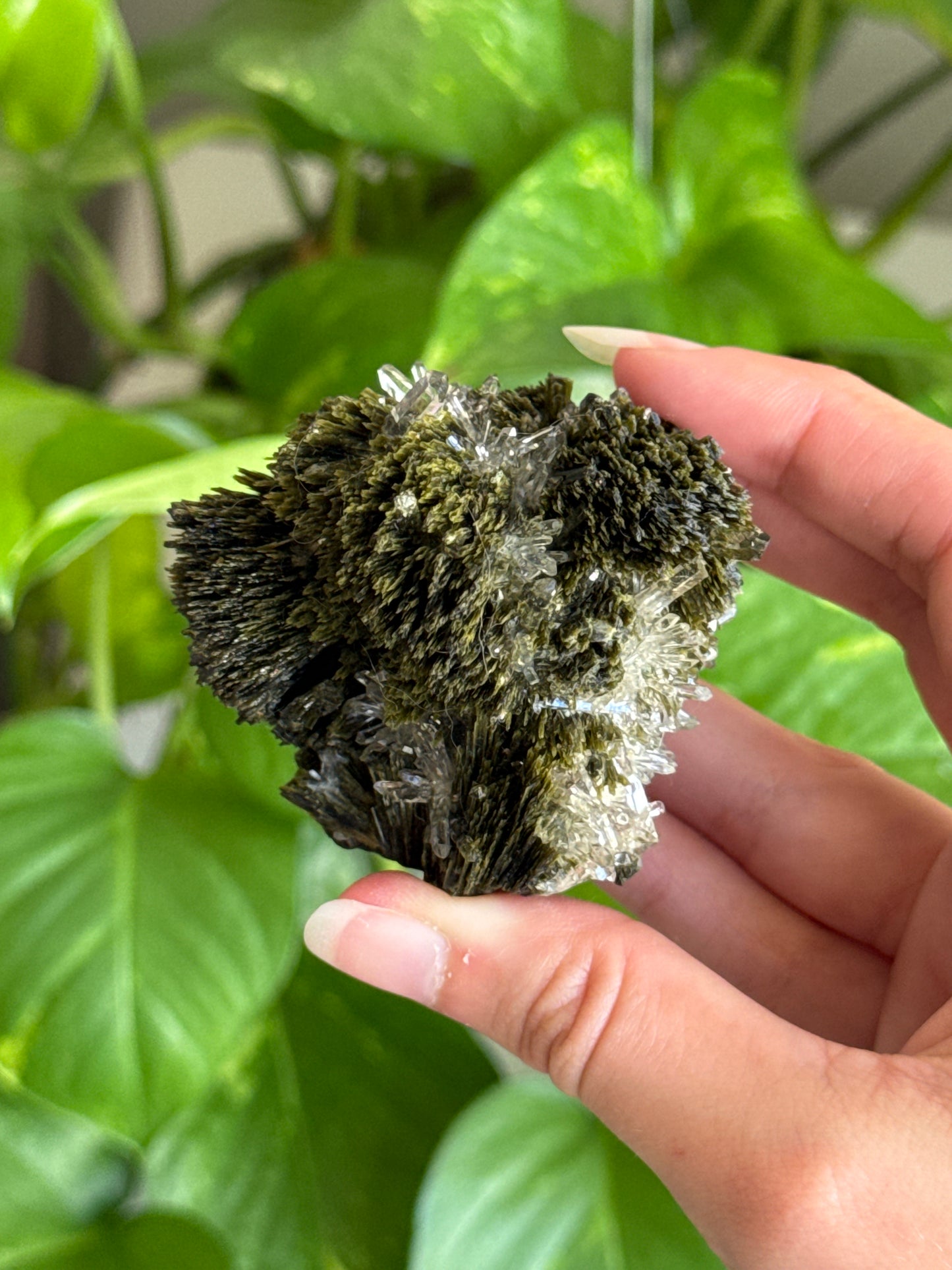 Collectors Grade Forest Epidote with Quartz Specimen C