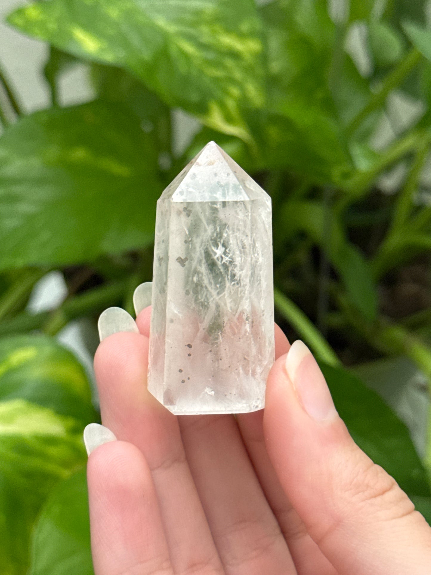 Pyrite in Quartz Tower | You Pick