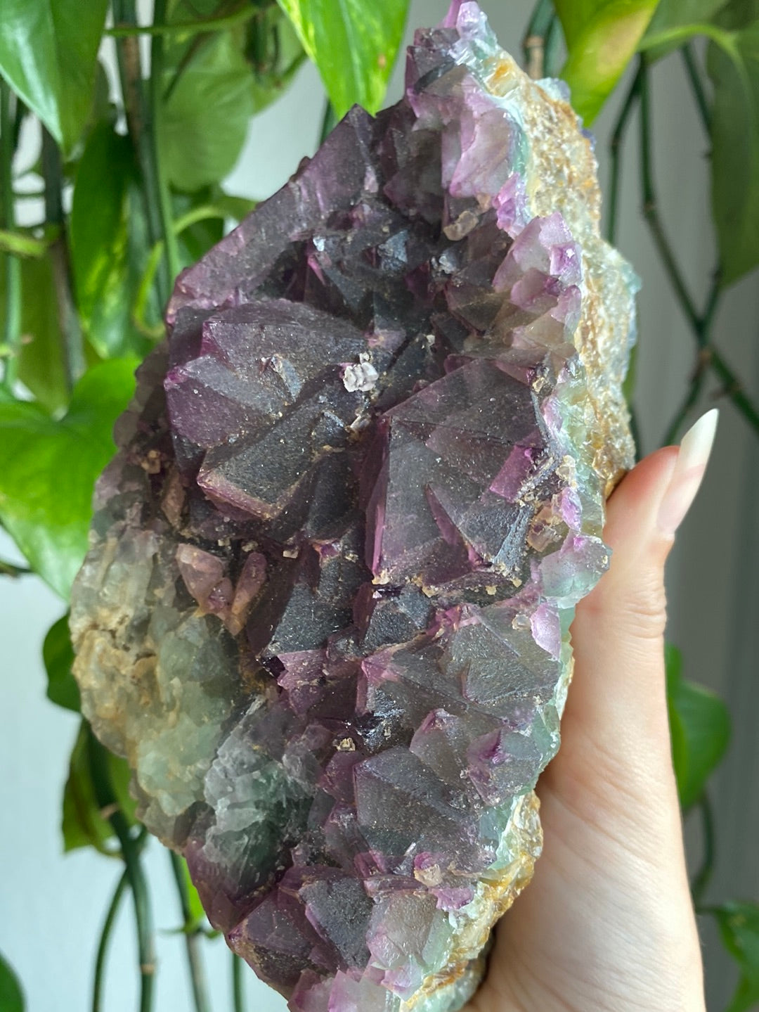 XL Unique Magenta/Green Cubic Fluorite Specimen