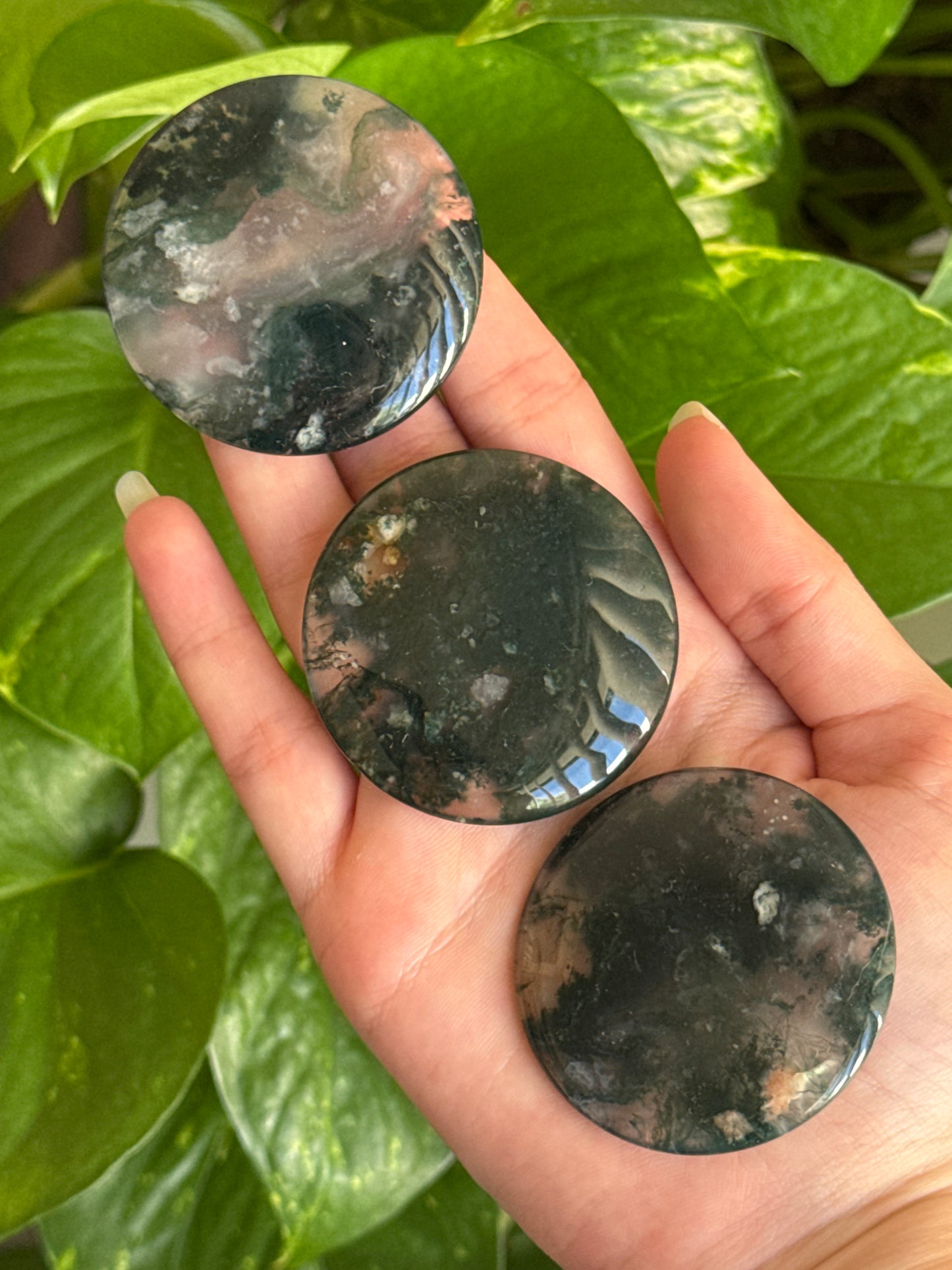 Clear Moss Agate Disk Batch A