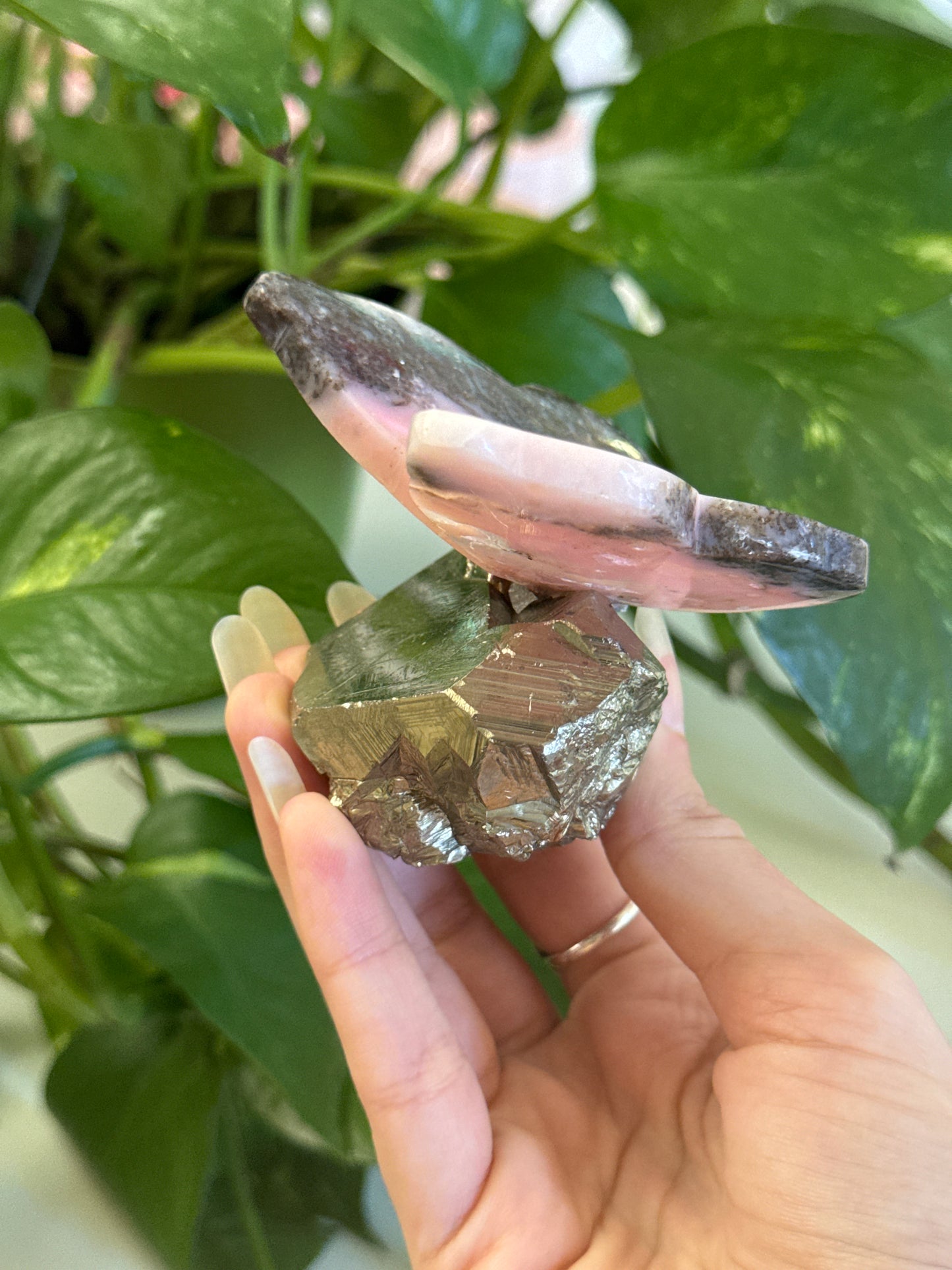 Hand Carved Peruvian Pink Opal Butterfly on Cubic A