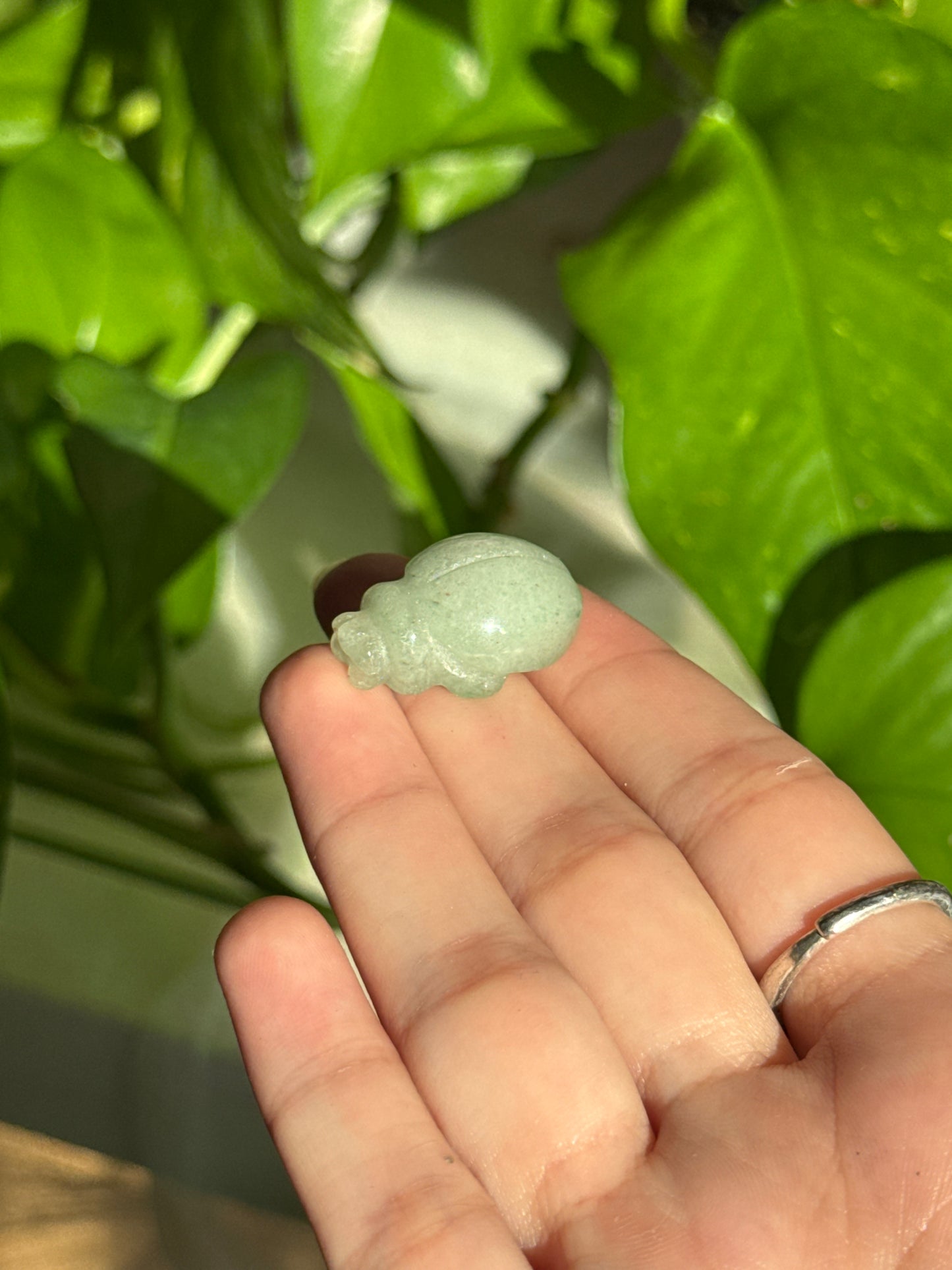 Green Aventurine Ladybug