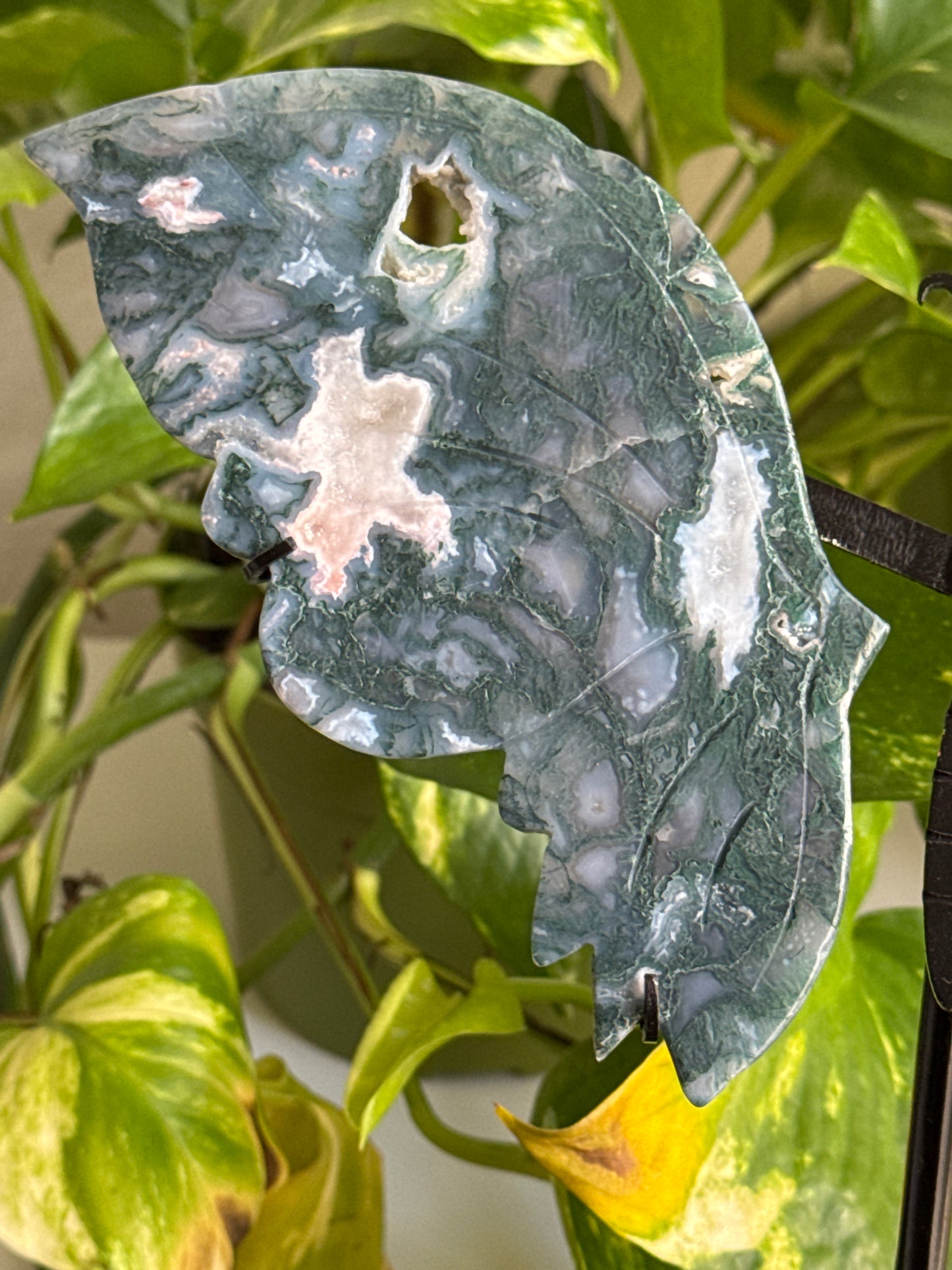 Large Druzy Moss Agate Butterfly