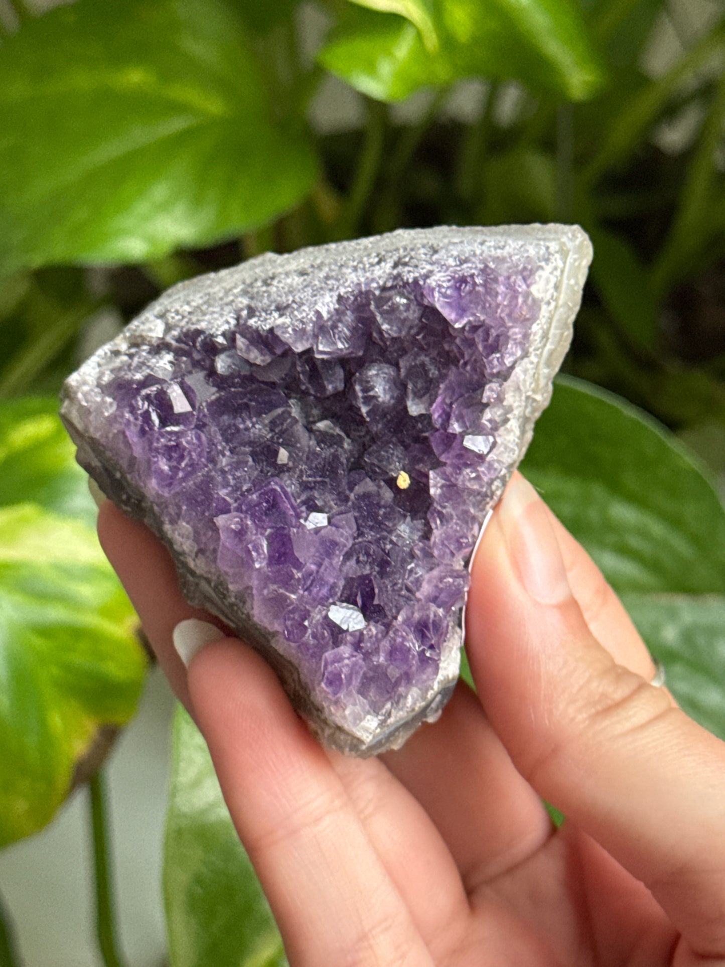 Amethyst Cluster | You Pick