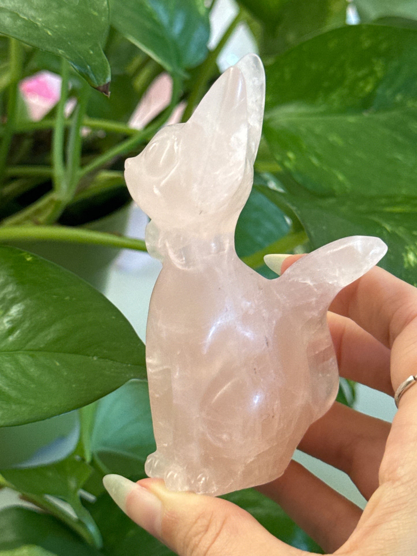 Rose Quartz Jiji Cat Carving