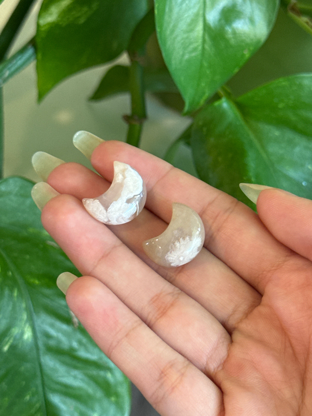 Flower Agate Crescent Moon