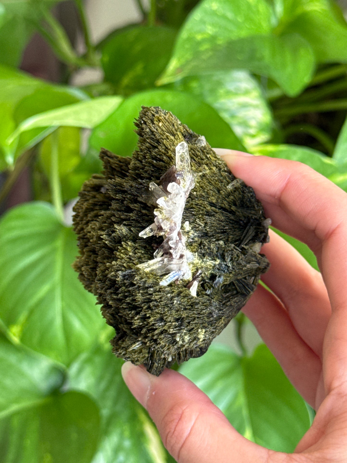 Collectors Grade Forest Epidote with Quartz Specimen B
