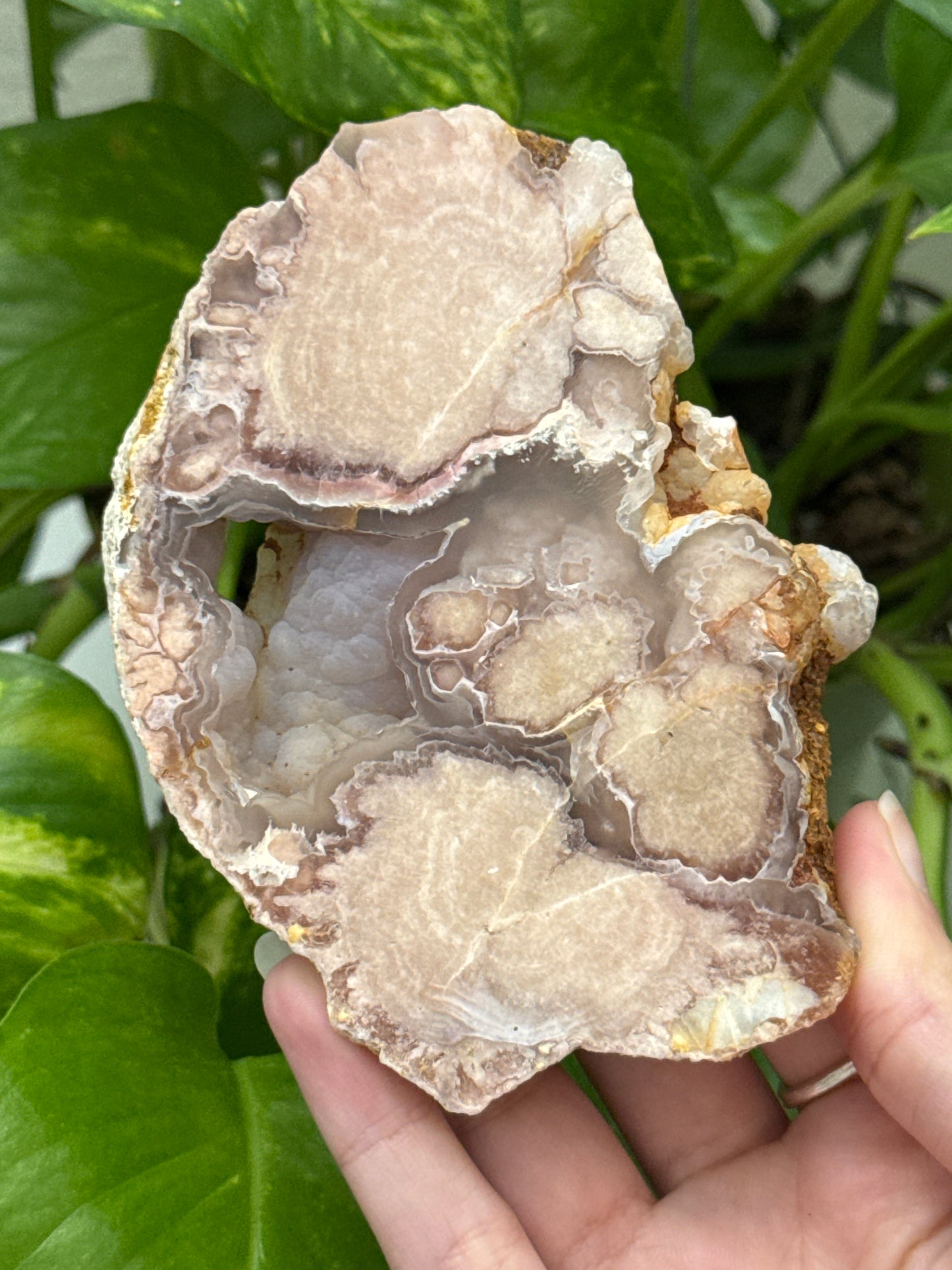 Flower Agate Bubble Druzy Slab