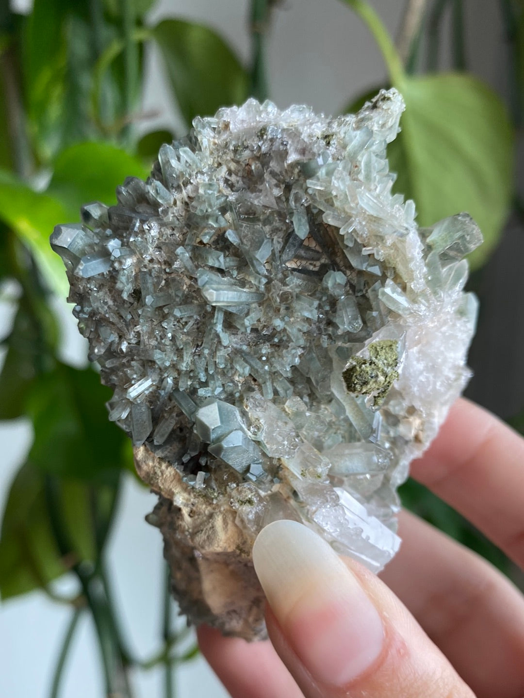 Himalayan High Altitude Quartz