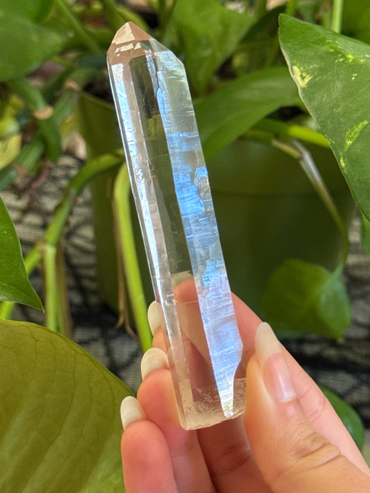 Super Clear Quartz Point