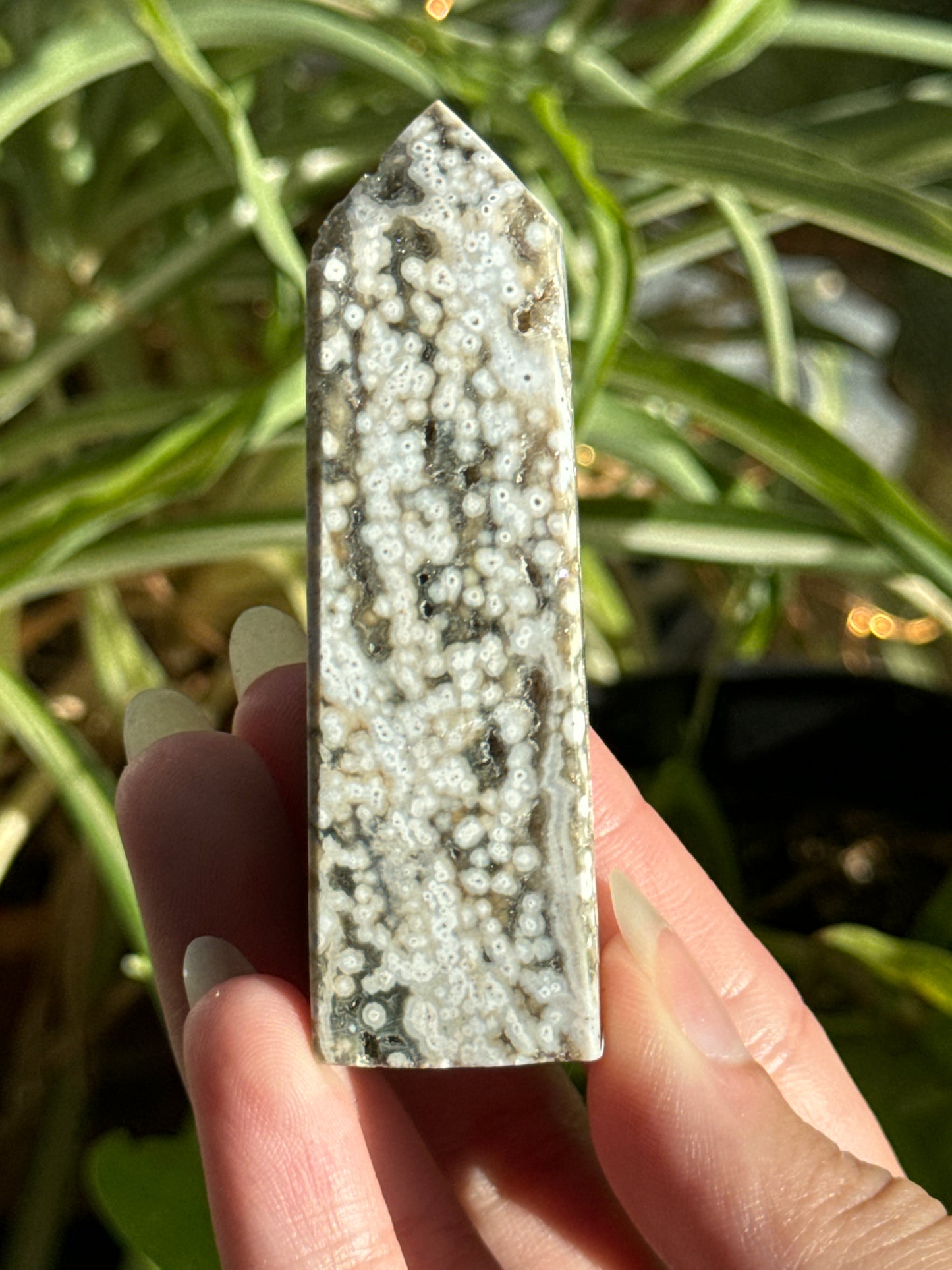 Orbicular Druzy Sea Jasper Towers
