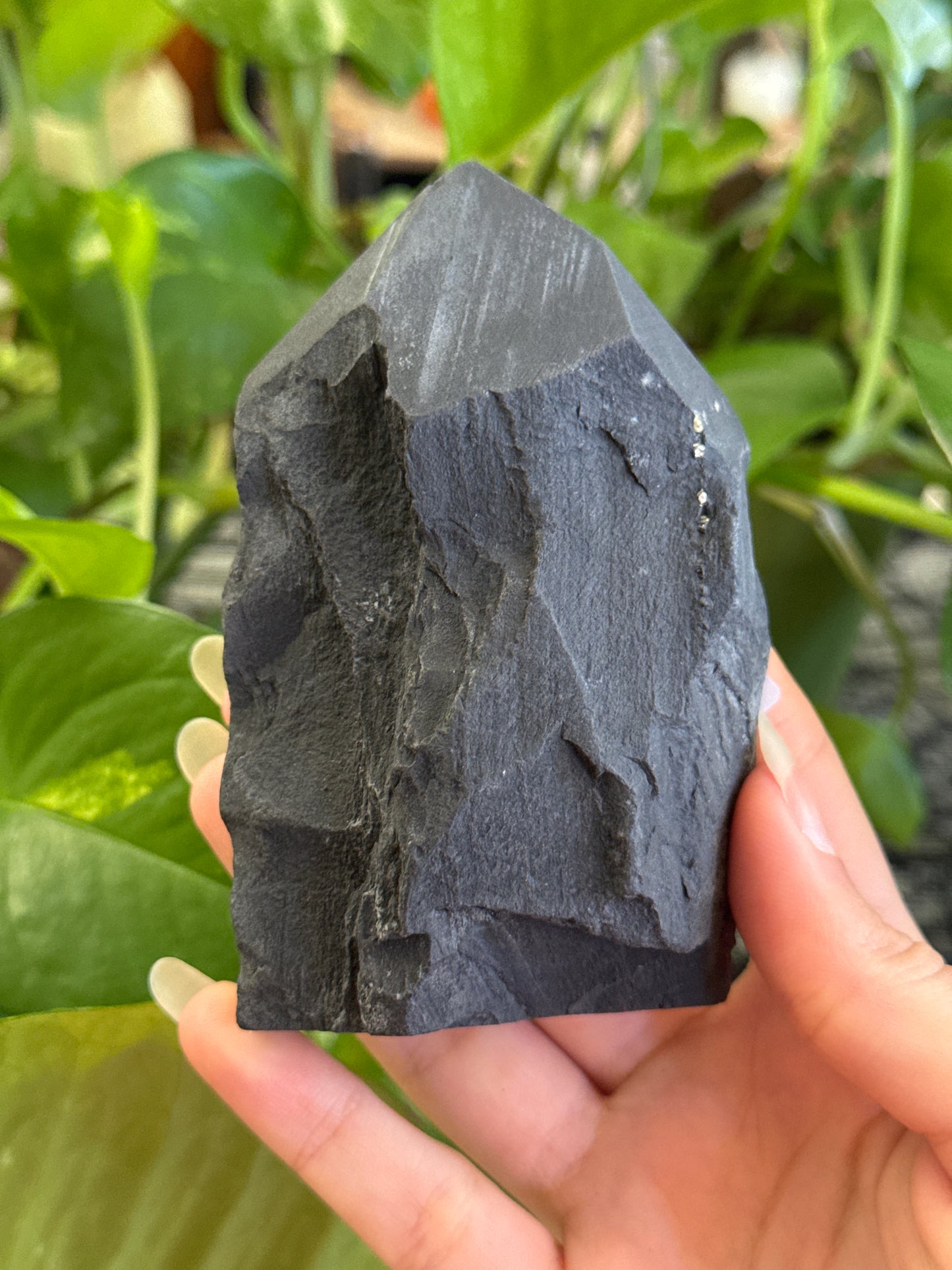 Pyrite on Shungite Specimen Tower