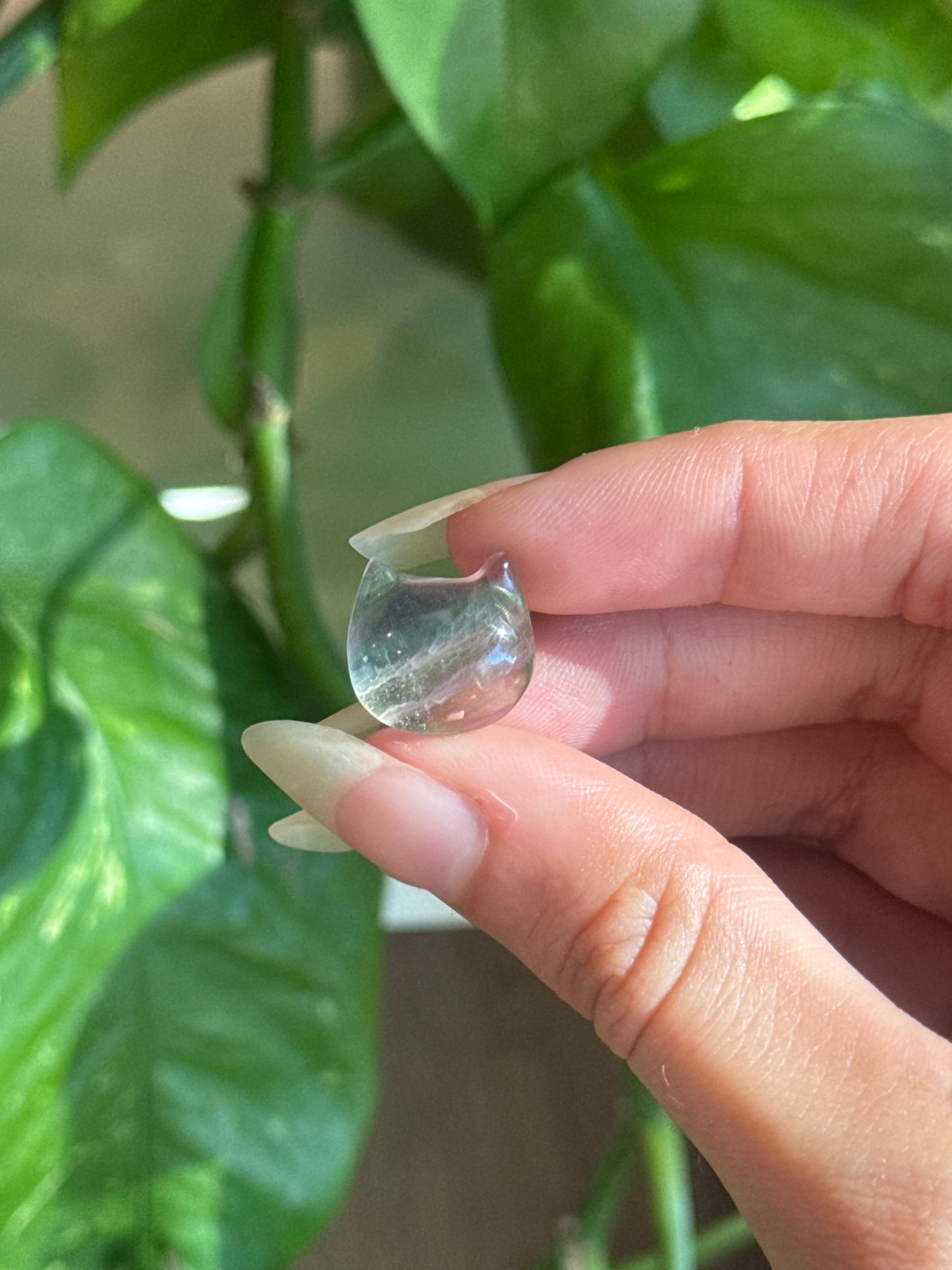 Fluorite Cat Head