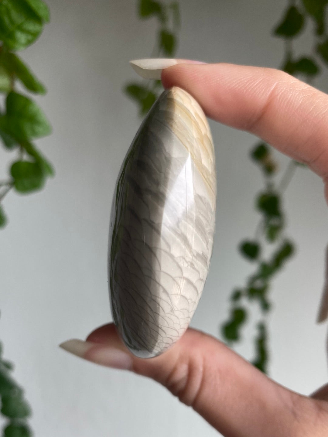 Feathered Agate Palmstone