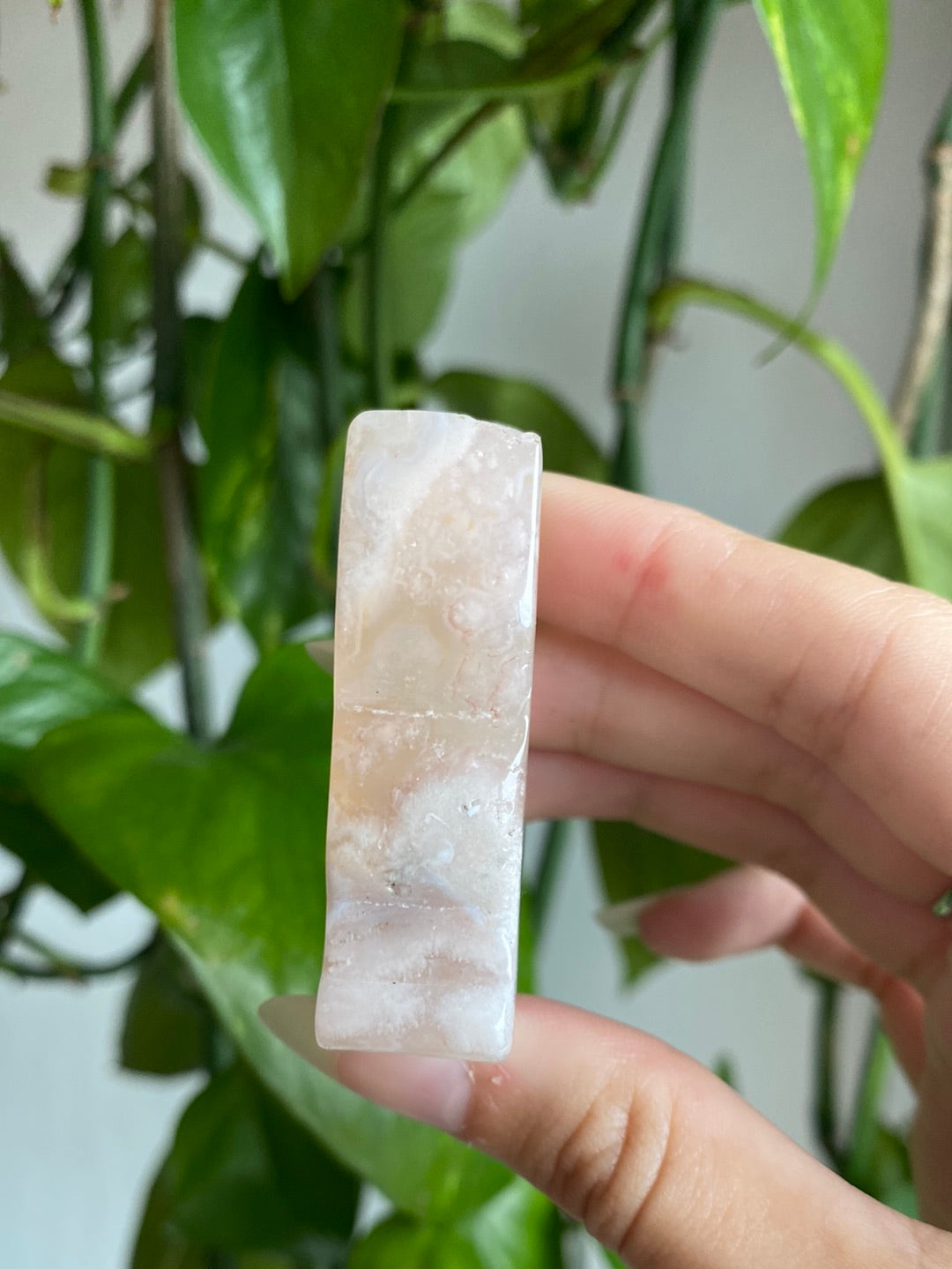 Flower Agate Kitty