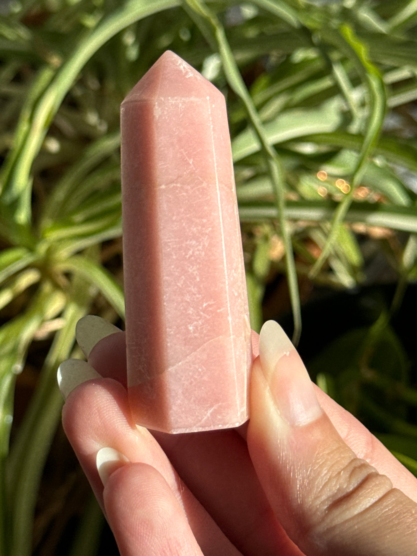 Pink Opal Towers Batch 2