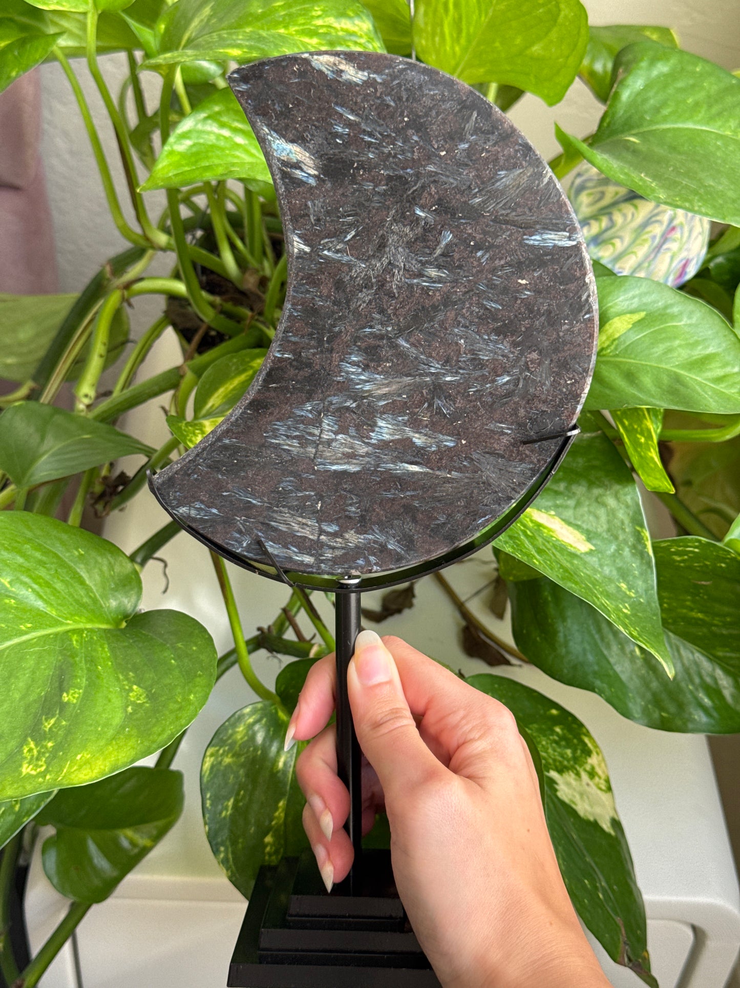 Large Astrophyllite & Garnet Moon B