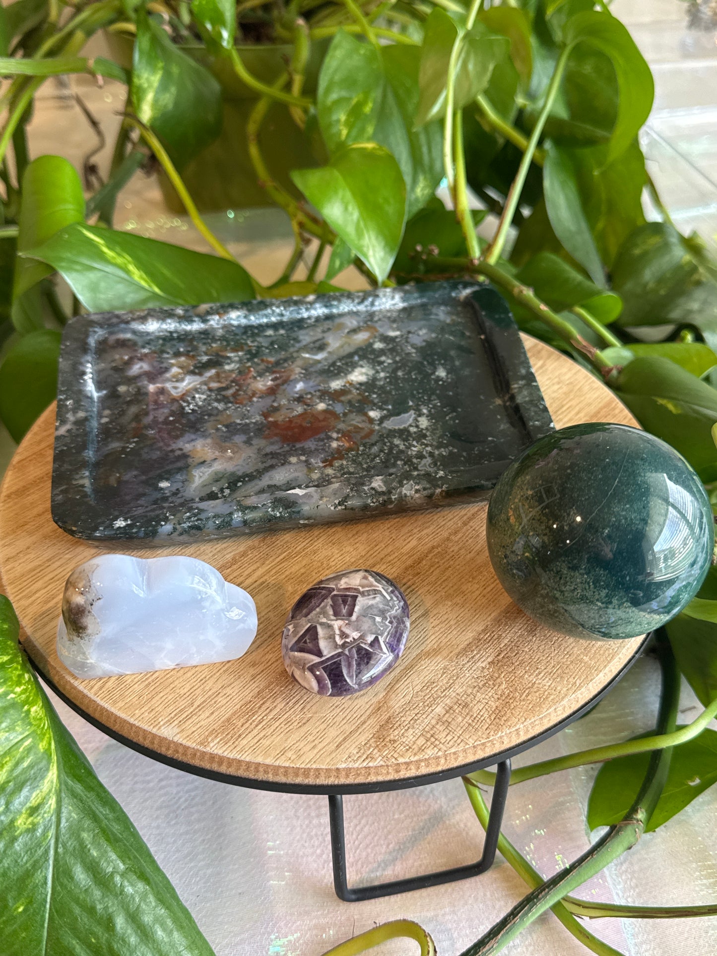 ashleypollard7 listing