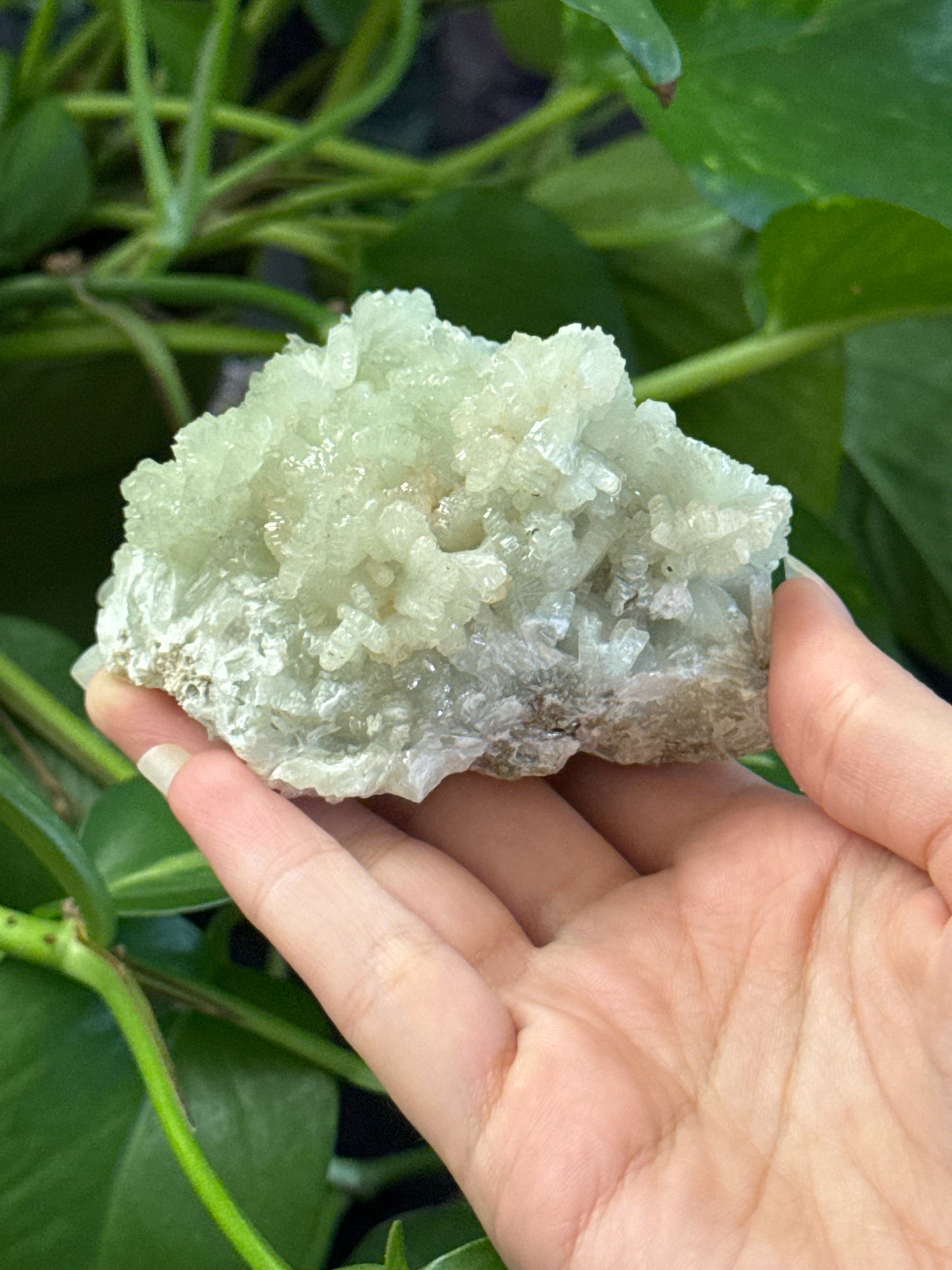Crystallized Prehnite C