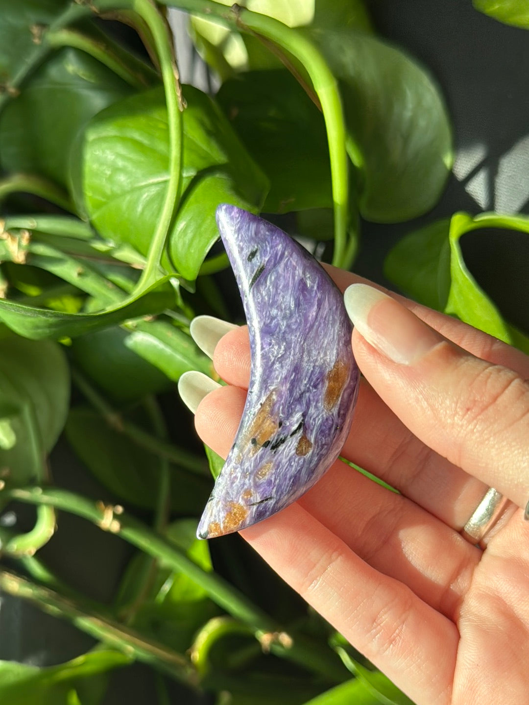 High Grade Charoite Moon With Chatoyancy