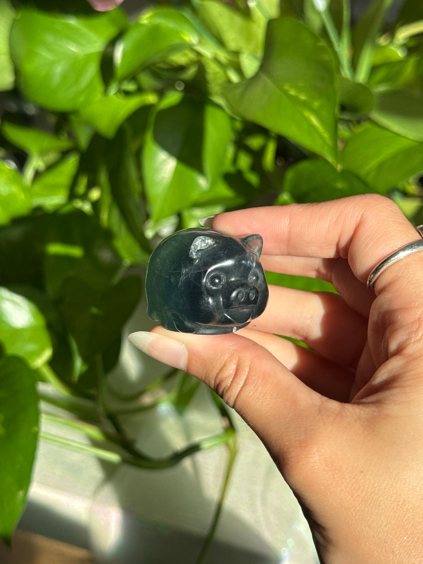 Fluorite Chubby Pig