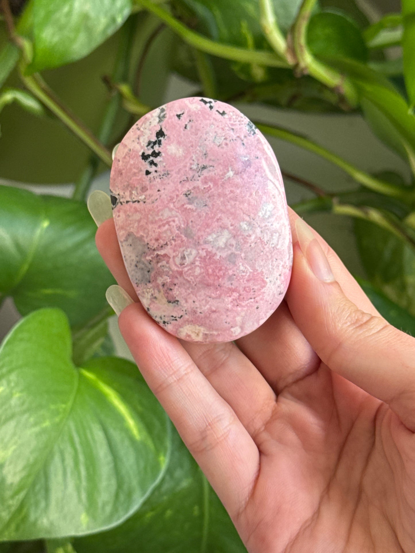 Bubblegum Rhodonite Palmstone | You Pick