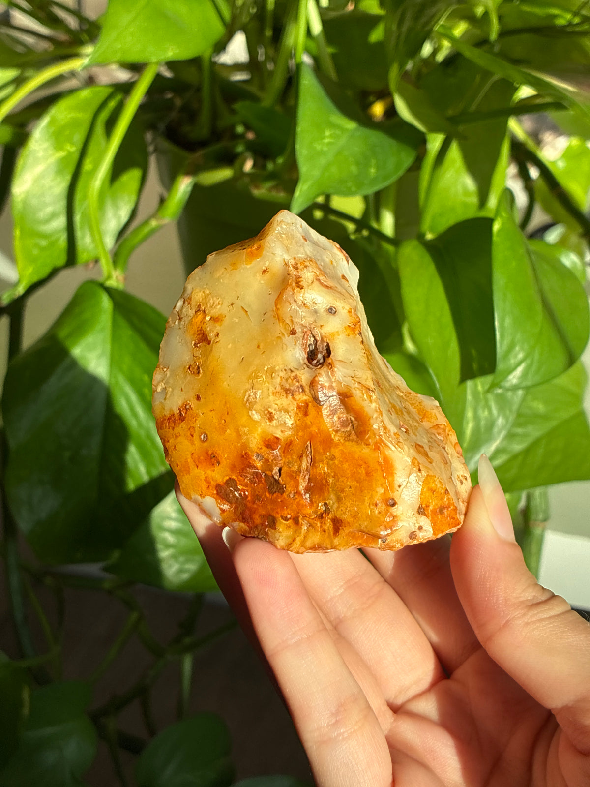 Raw Carnelian ‘Frog’ Specimen