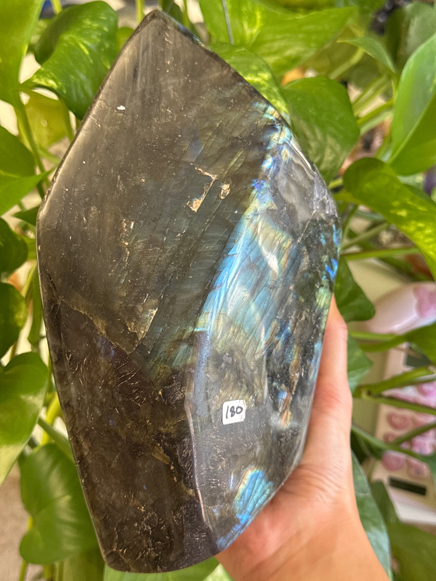 Large Labradorite Freeform
