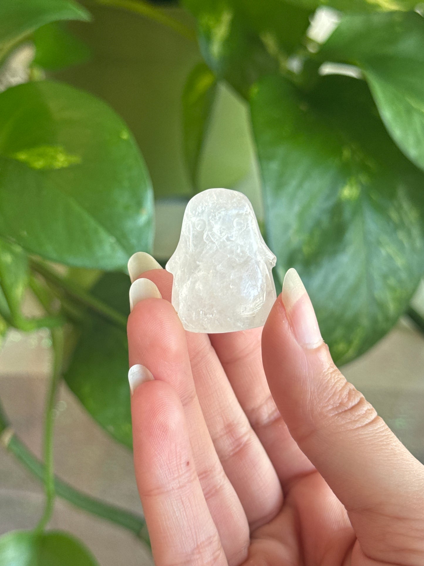 Clear Quartz Chubby Seal