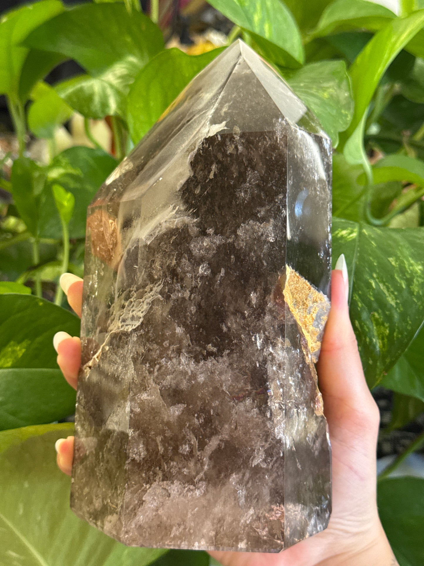 Collectors Statement Smoky Quartz with Garden Quartz Tower 🕸️