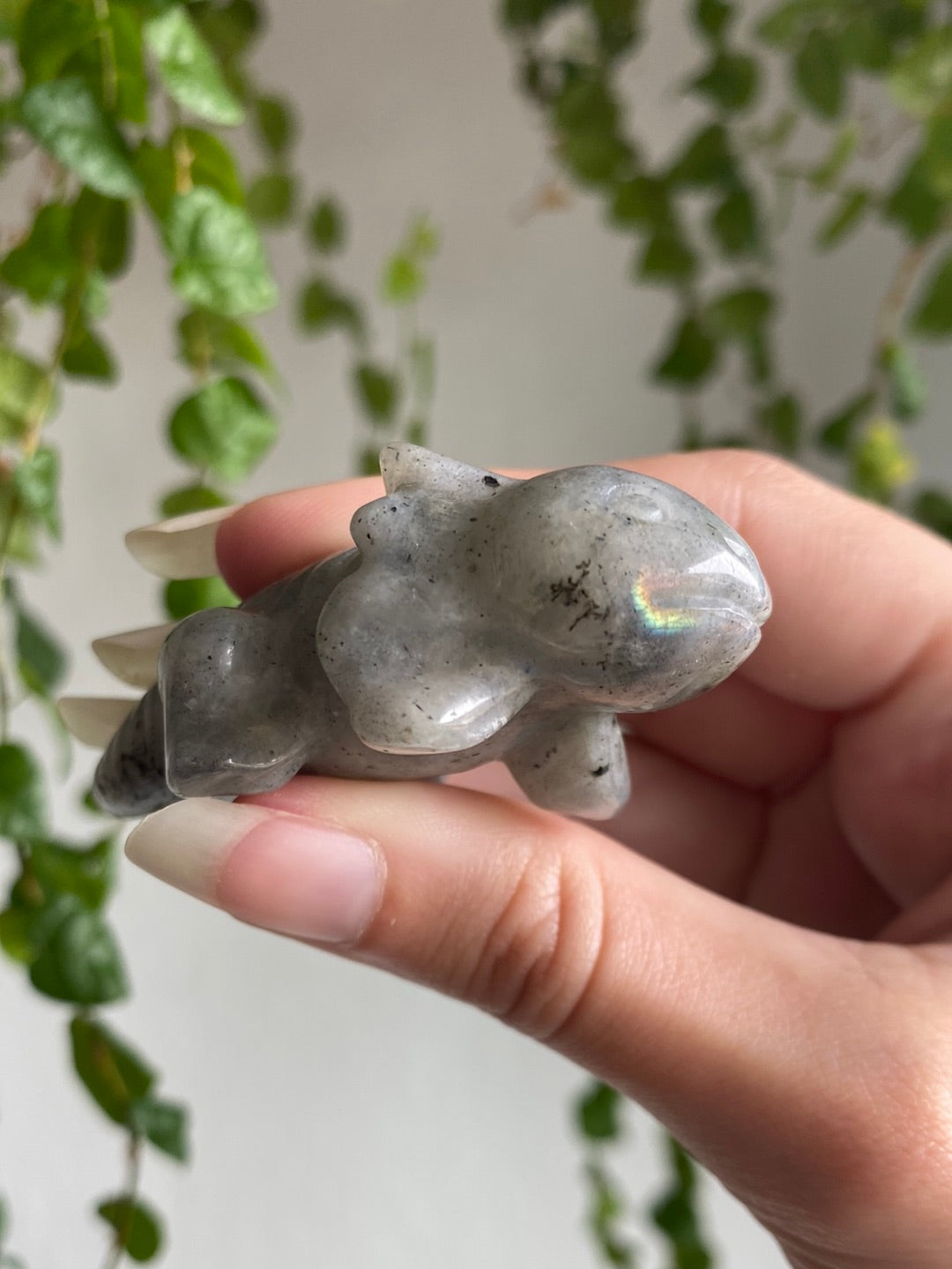 Labradorite Axolotl