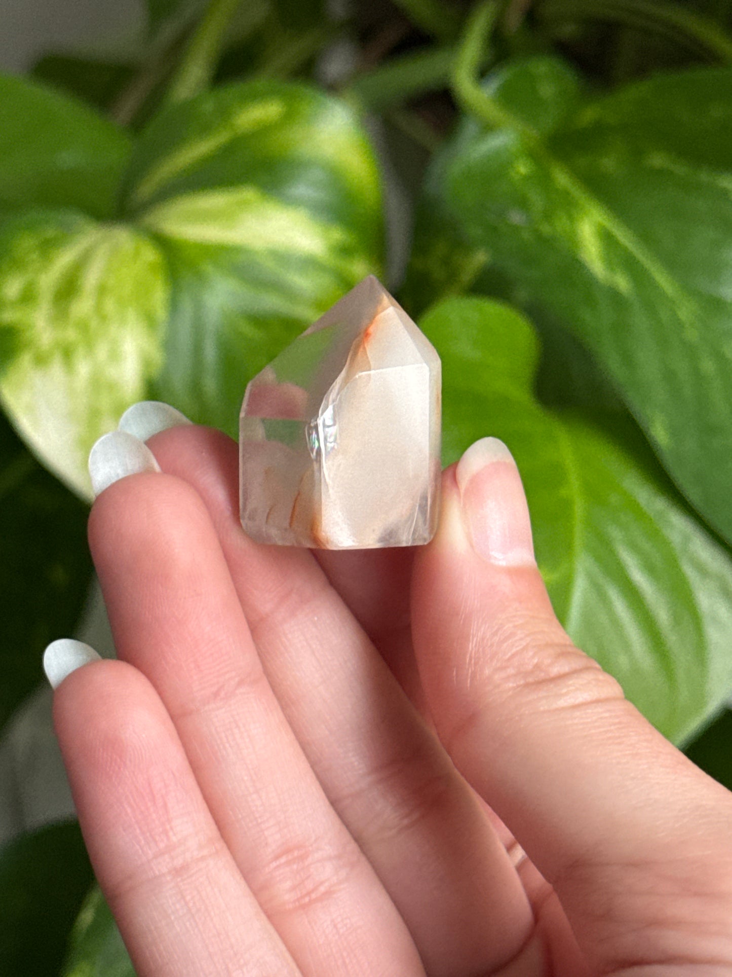 Amphibole Quartz Tower | You Pick